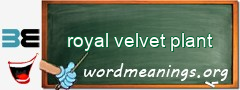 WordMeaning blackboard for royal velvet plant